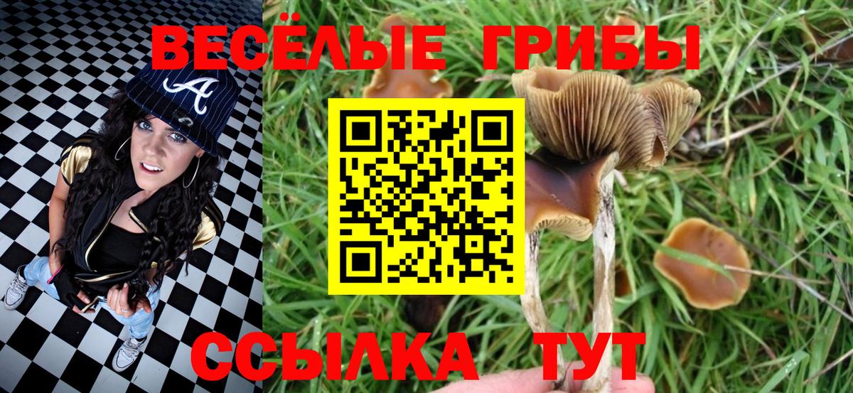 Галлюциногенные грибы Cubensis  Вход с VPN  Елизово  Галлюциногенные грибы Psilocybe 