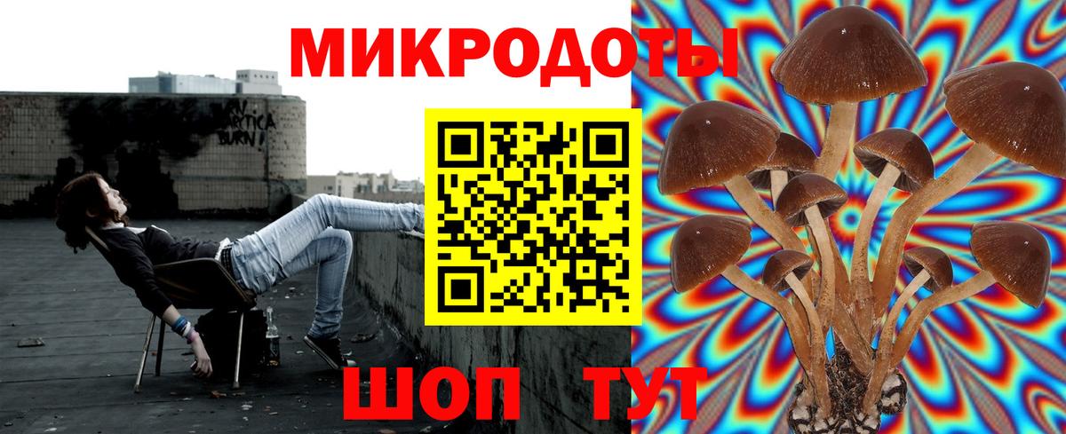 Галлюциногенные грибы мухоморы Елизово